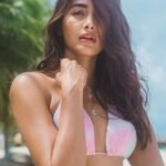 pooja-main